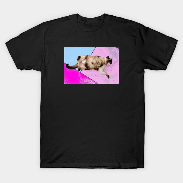 Siamese cat / Swiss Artwork Photography T-Shirt by RaphaelWolf